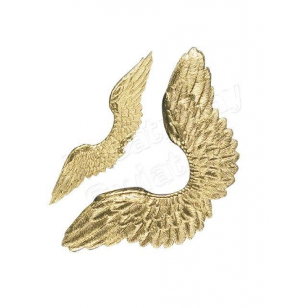dekoracyjne złote skrzydełka