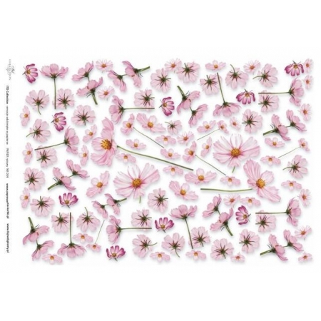 Papier ryżowy kwiaty R034.jpg
