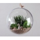 Kula florystyczna jako mini ogród wypełniona mchem reniferowym sztucznymi roślinami do zawieszenia w salonie